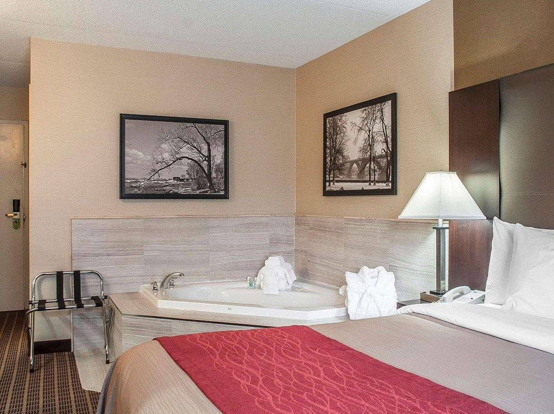 Comfort Inn Fort Erie主图