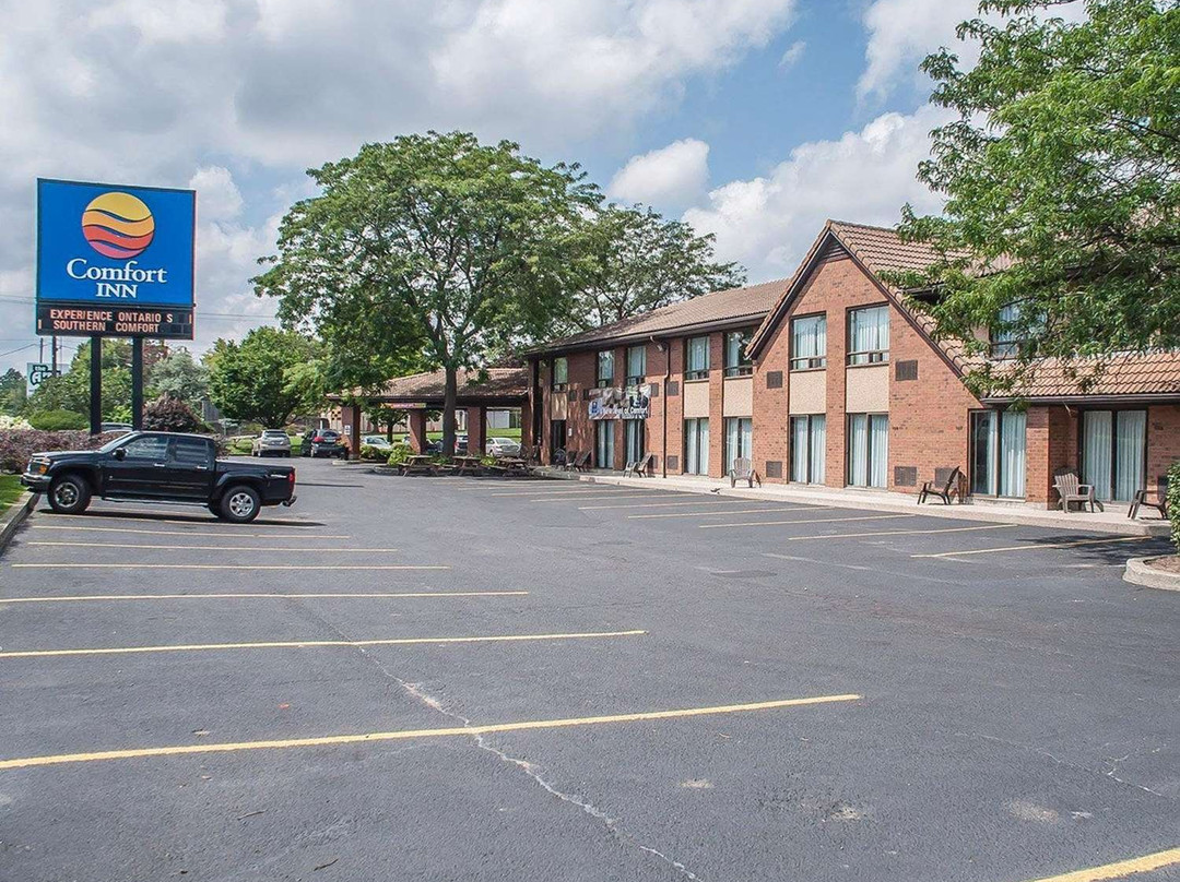 Comfort Inn Simcoe主图