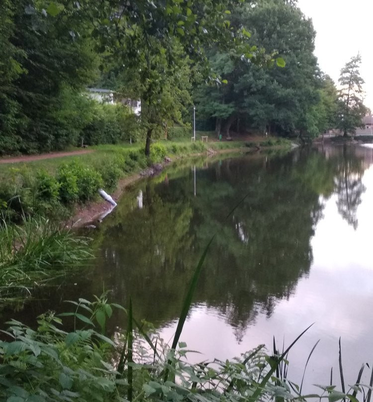 Barenlochweiher-Kindsbach必去景点