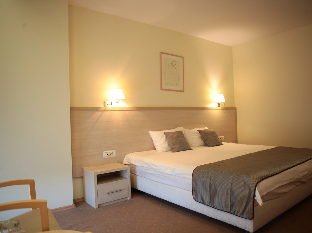 Hotel Savoy主图