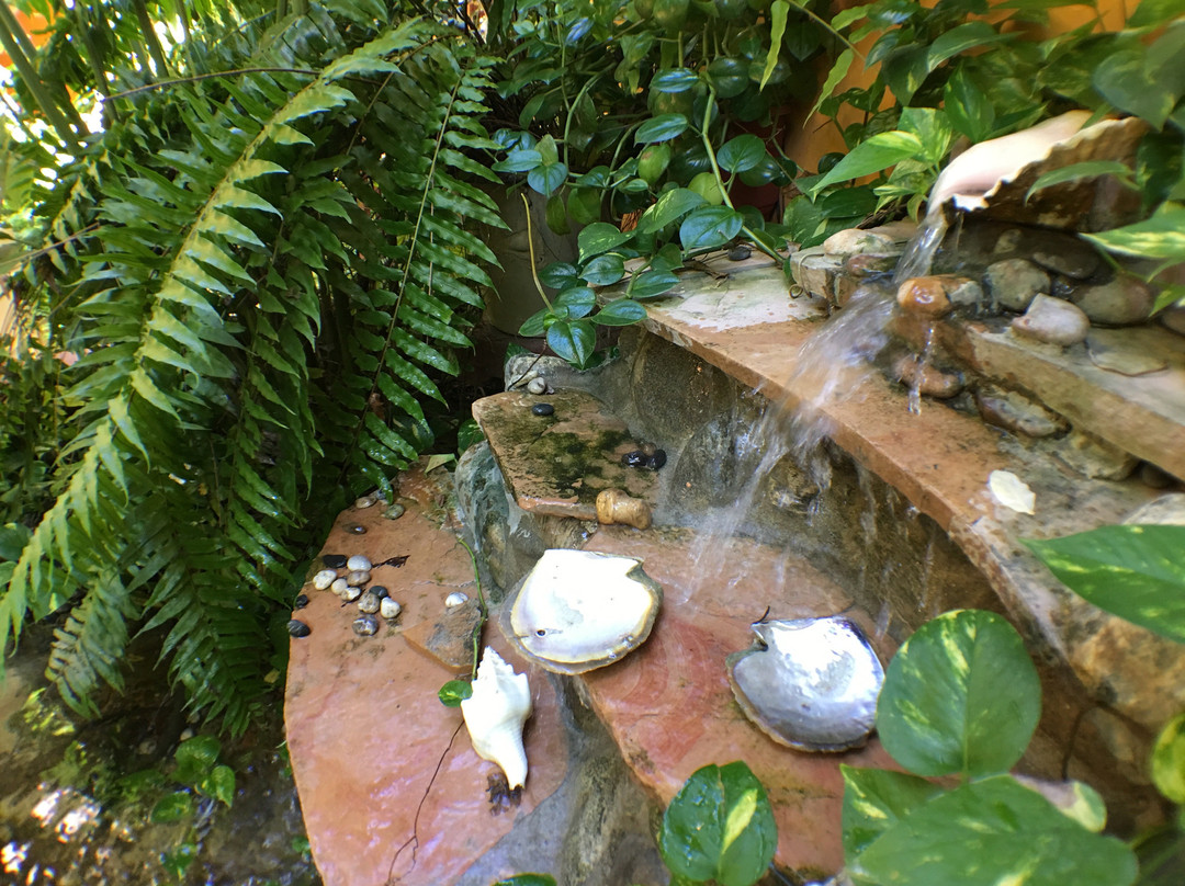 La Cabaña de Puerto Angel主图