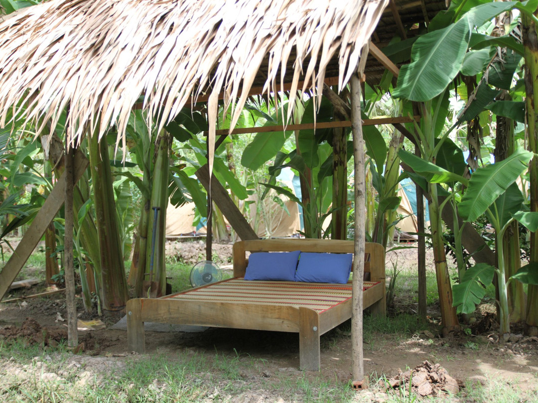 Ve Nha Homestay-Thanh Trieu必去景点