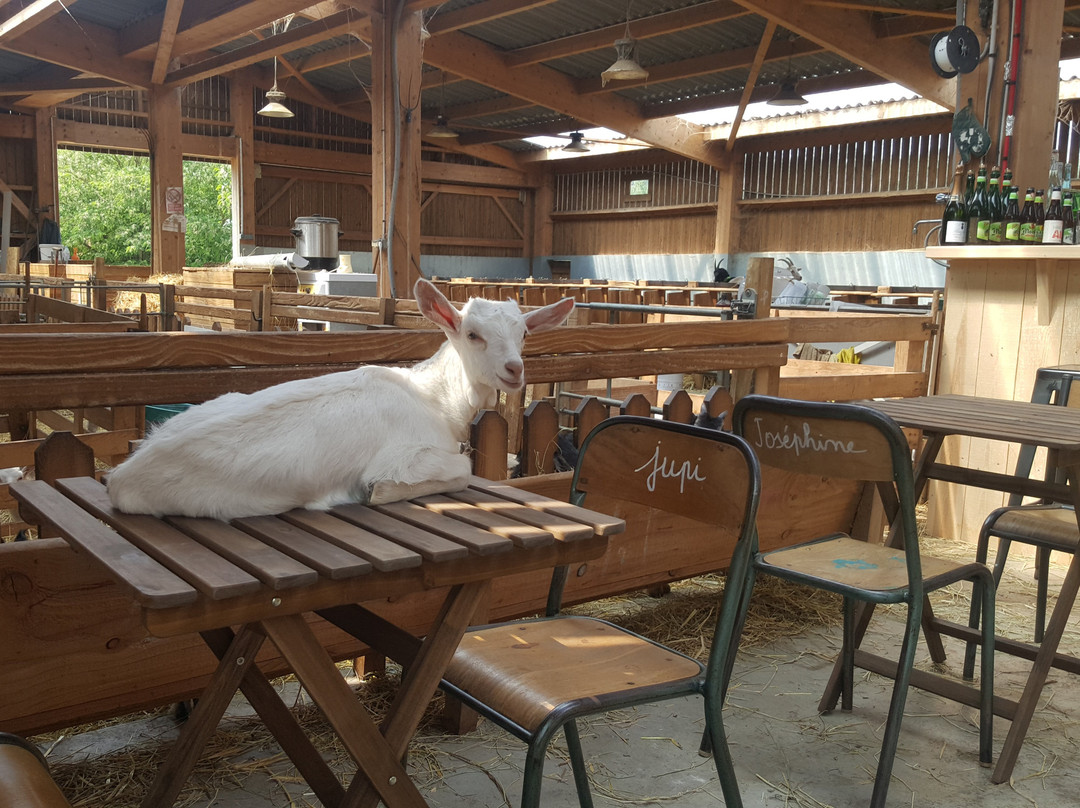 Marchiennes餐馆和美食-Les Chevrettes