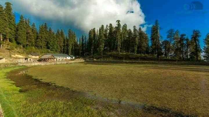 Suket homestay-泳池