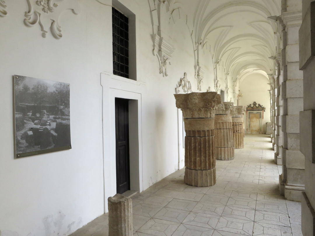 Museo Archeologico Provinciale Della Lucania Occidentale景点图片