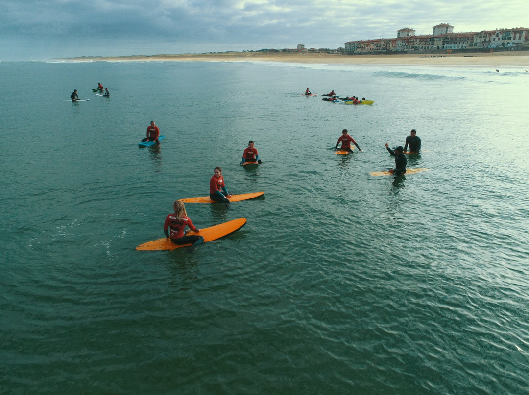 Surftrip景点图片