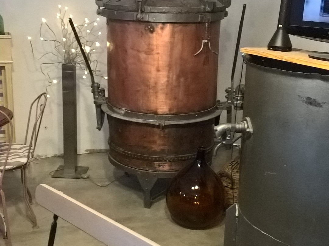 Distillerie Manguin-阿维尼翁必去景点