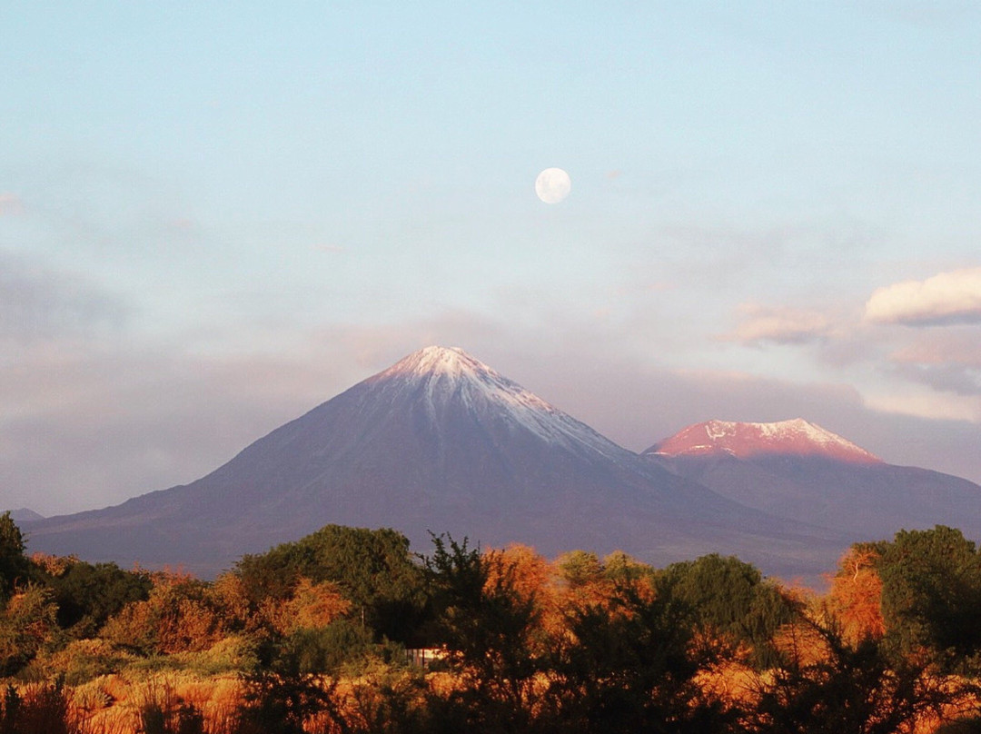 Tierra Atacama主图