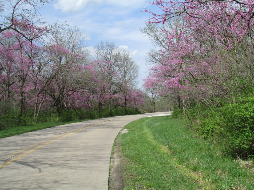 Country Cabins主图