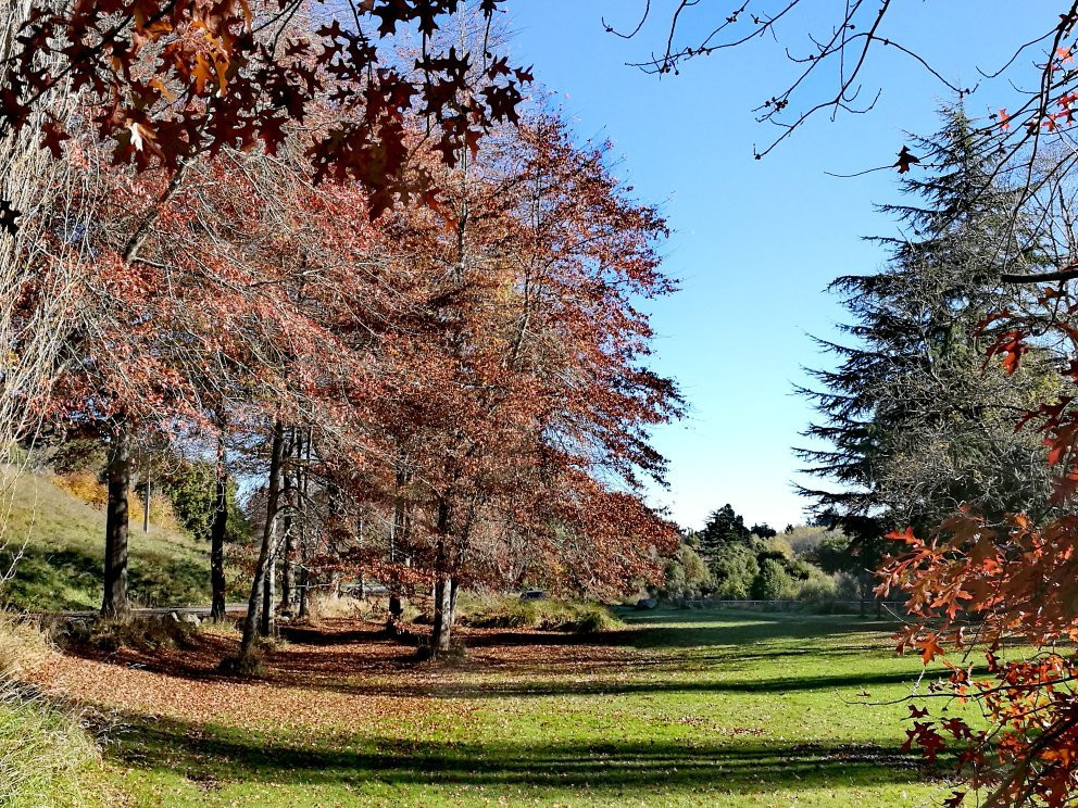 Centennial Park景点图片