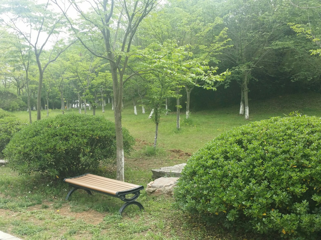 天生桥景点图片