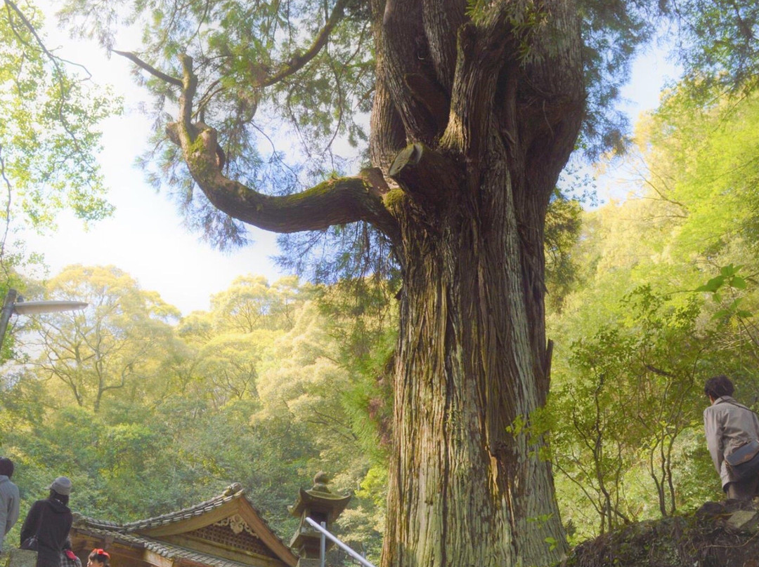 Kurosawa Tomio Shrine-佐伯市必去景点