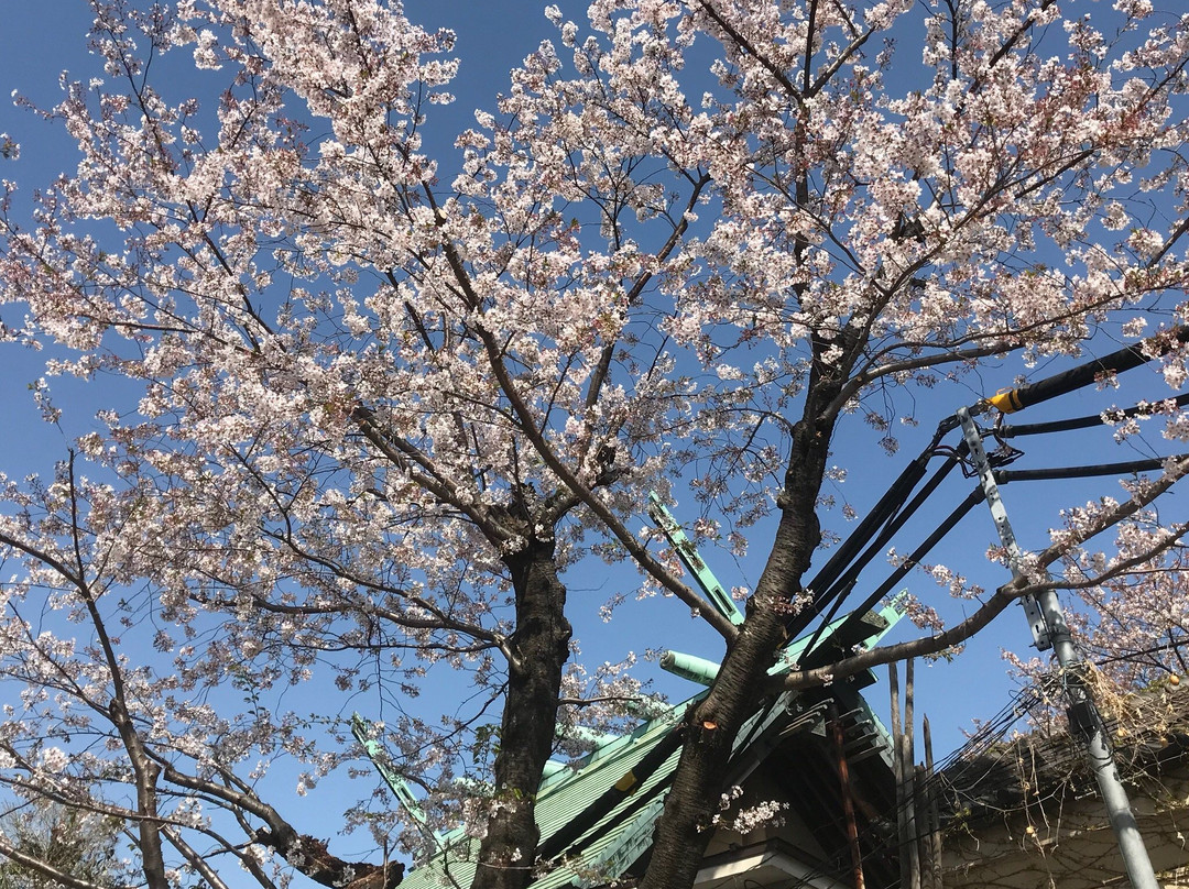 Suga Shrine-新宿区必去景点