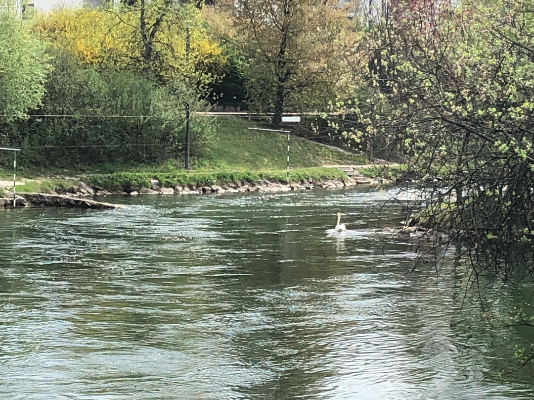 Parc des Eaux Vives景点图片