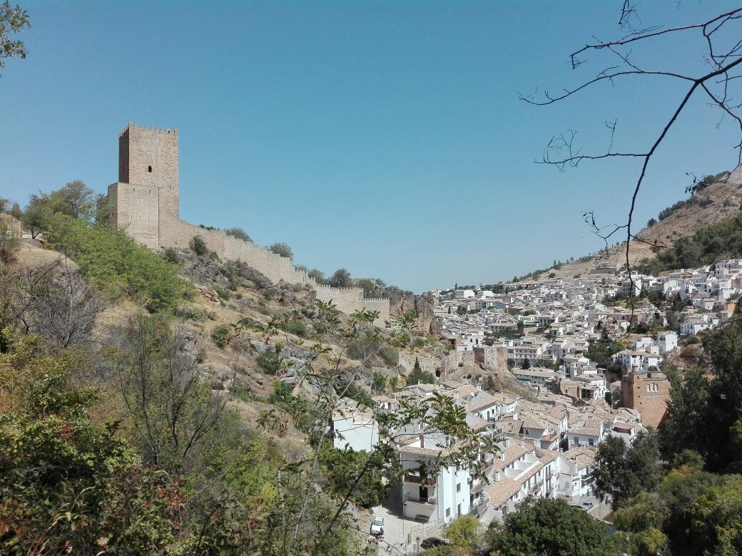 Castillo de  la Yedra景点图片