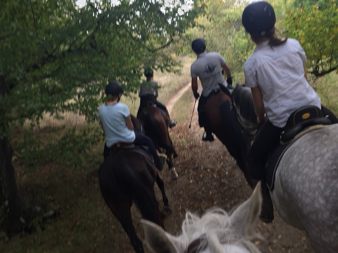 Villa Abbatis Equestrian Center景点图片