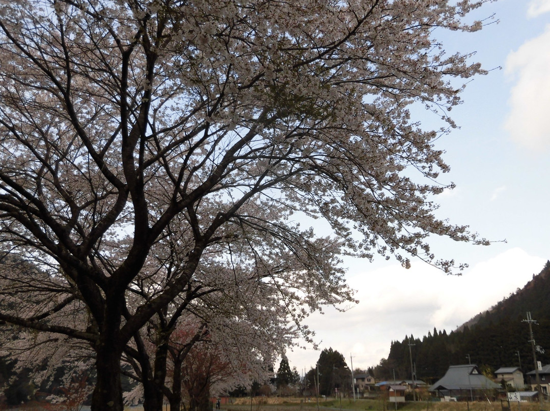 Kuwanobashi Kasen Park-高岛市必去景点