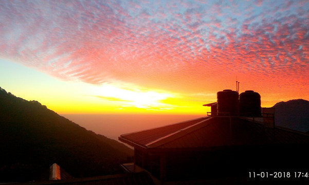 Great Barbet Birding Lodge & Sundown Cafe Pangot