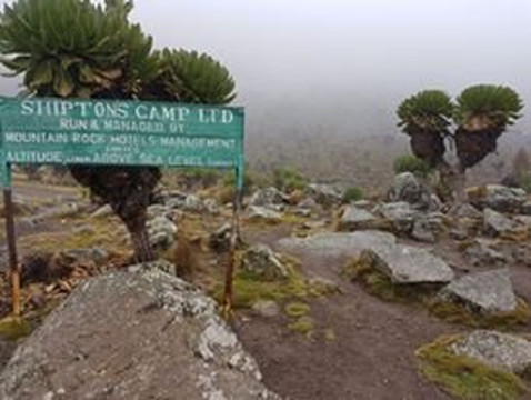 To Mount Kenya Safaris