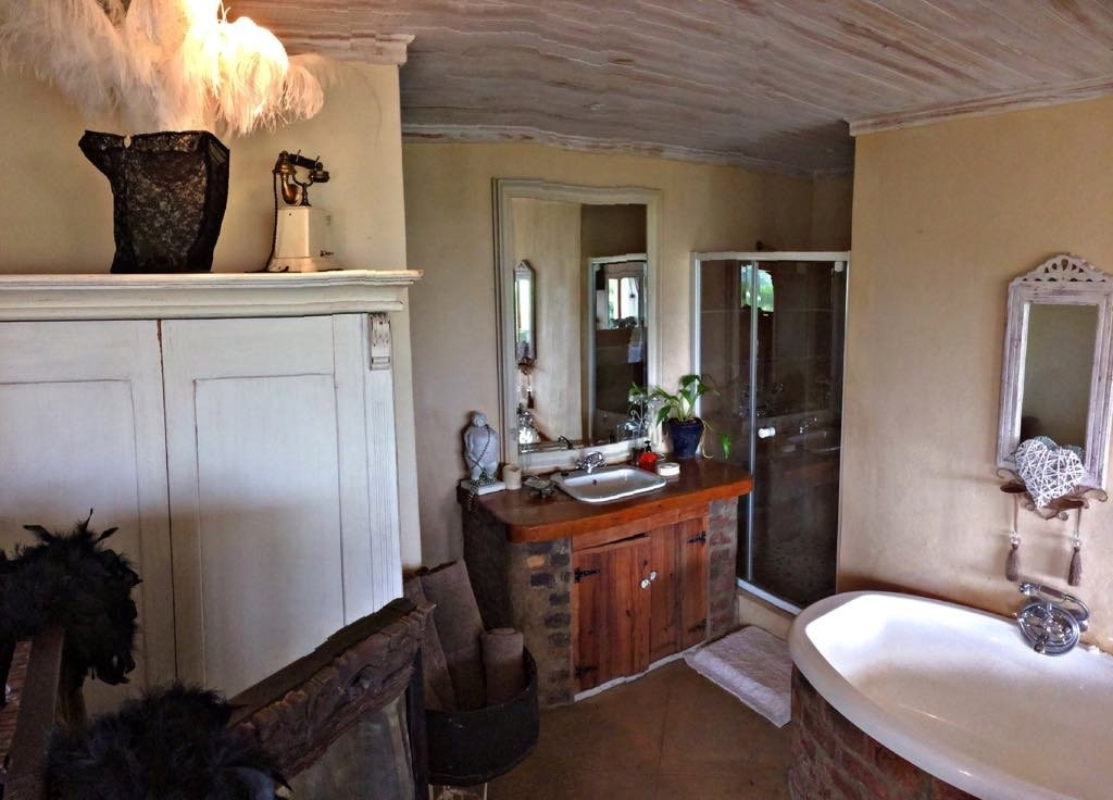 A Whale of a View主图