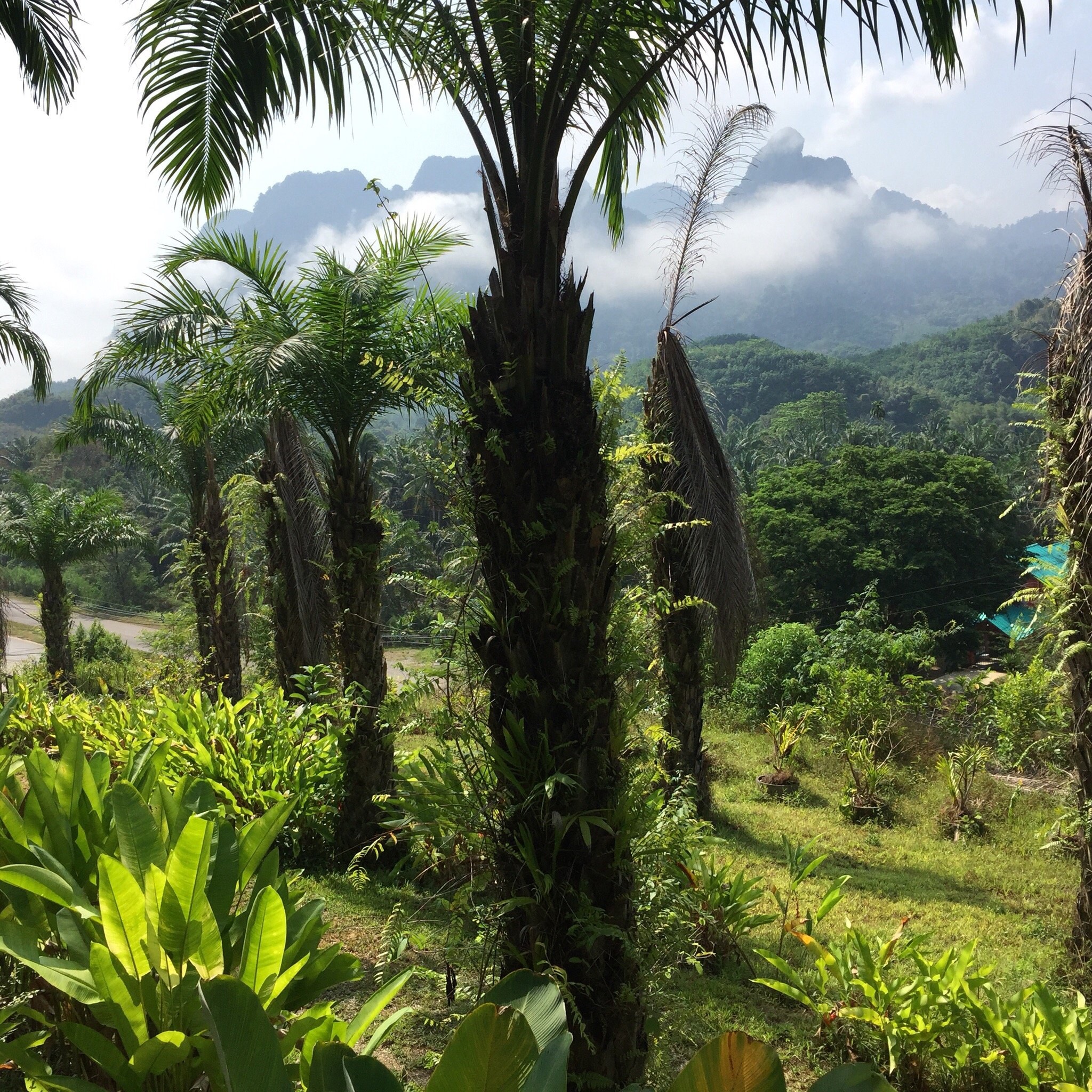 Khao Sok Horizon-官方