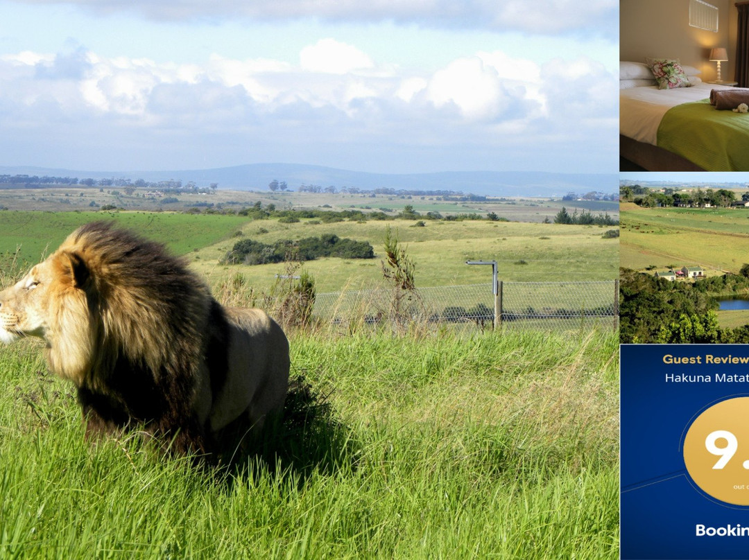 Experience @ Hakuna Matata Game Farm