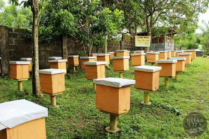 Honey House Honey Bee Farm景点图片