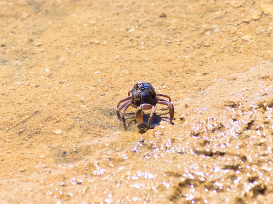 Yagaji Ecotour Network-名护市必去景点