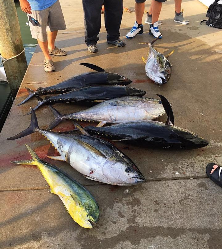 3 Amigos Sportfishing Charters-里霍博斯比奇必去景点