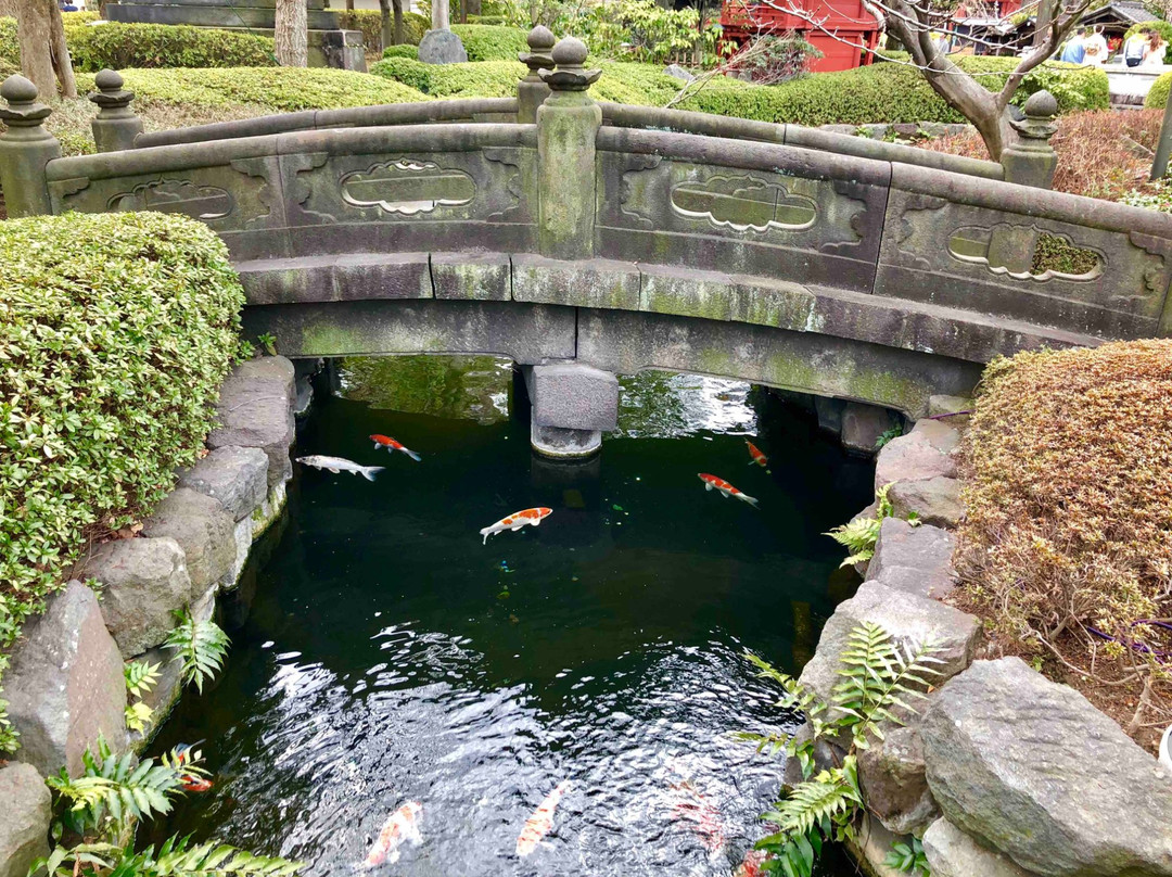 Demboin Temple Garden景点图片