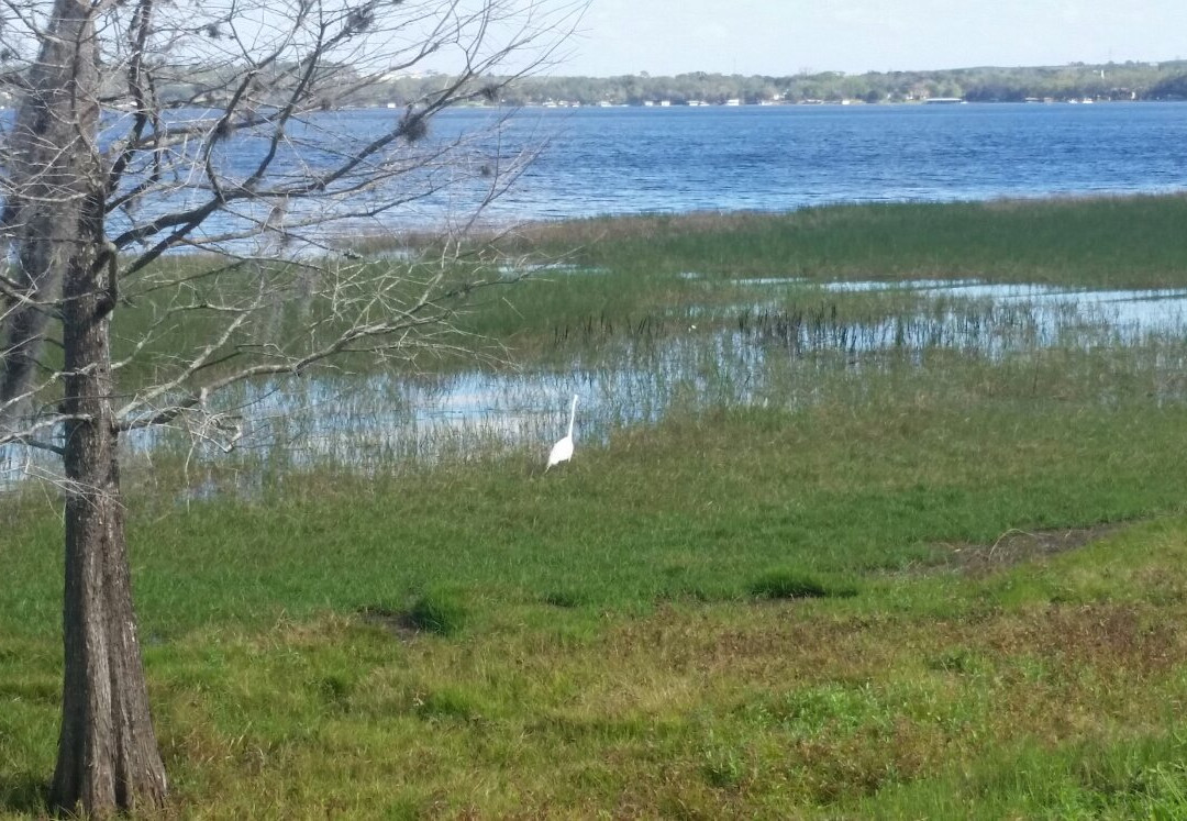 Waterfront Park-Clermont必去景点