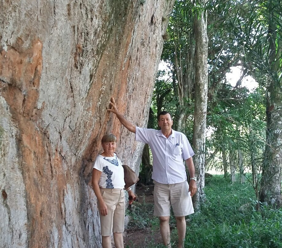 Pedra Grande Archaeological Site