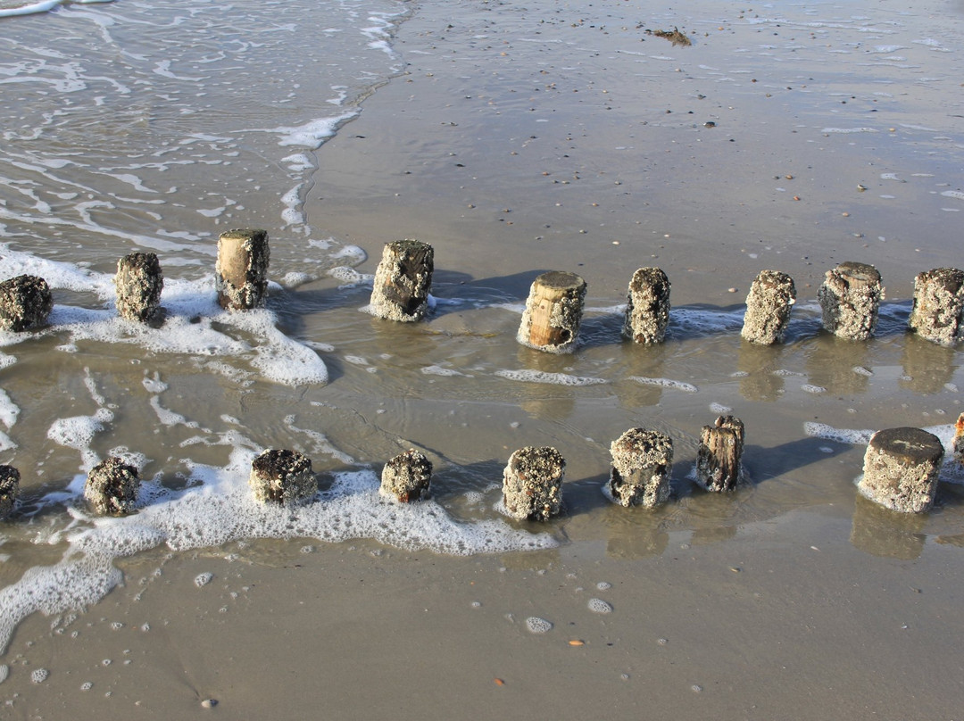 Strandurlaub auf Spiekeroog景点图片