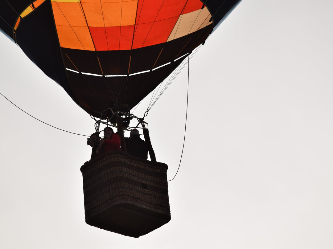 Globos Aerostaticos Argentina景点图片