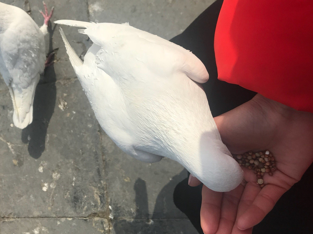 五亭桥-扬州市必去景点