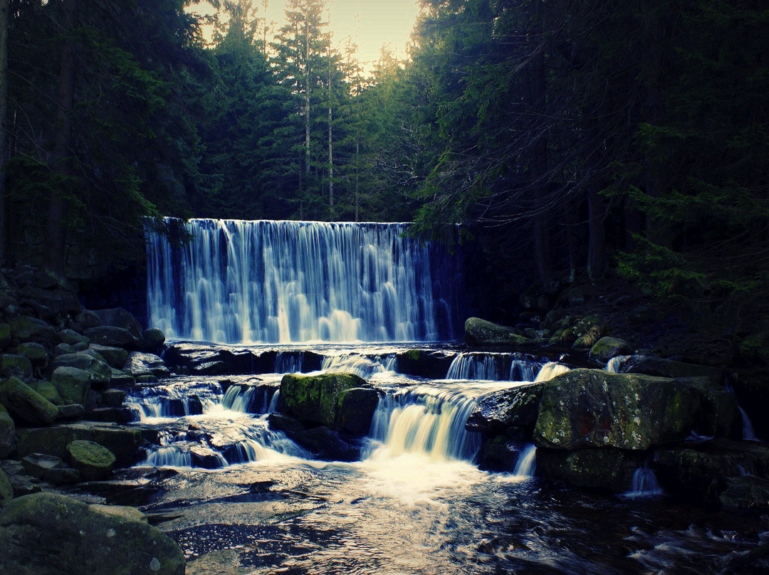 Wild Waterfall景点图片