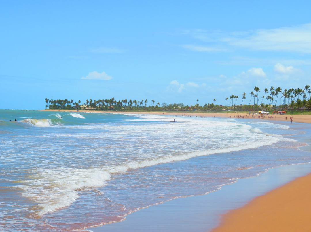 Praia de Itacimirim景点图片