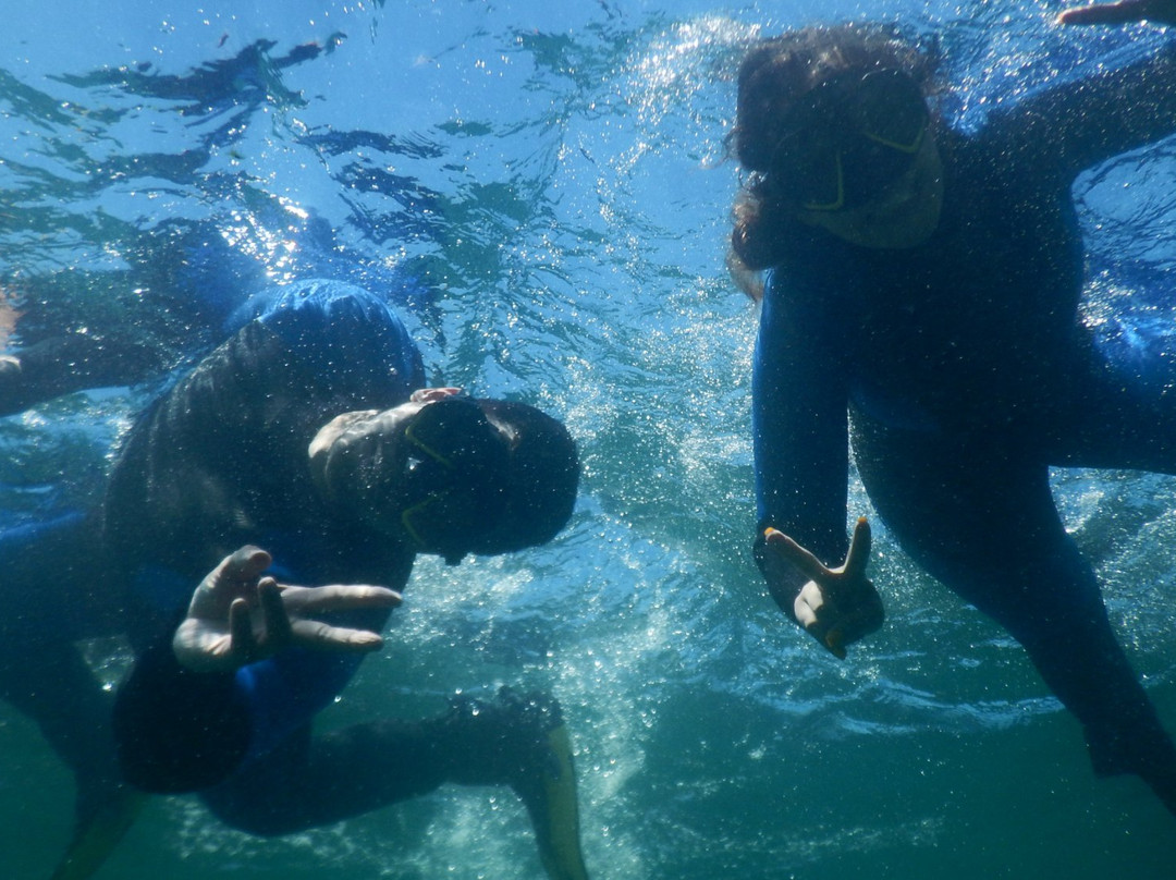 Sydney Underwater Scooter Tours-悉尼必去景点