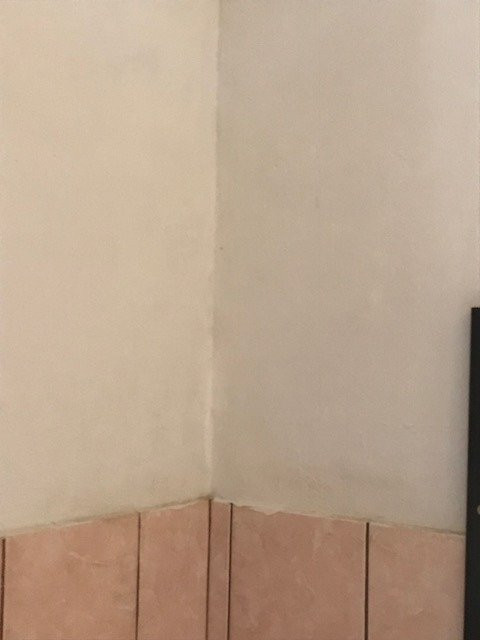 Trees Too Guest Lodge主图