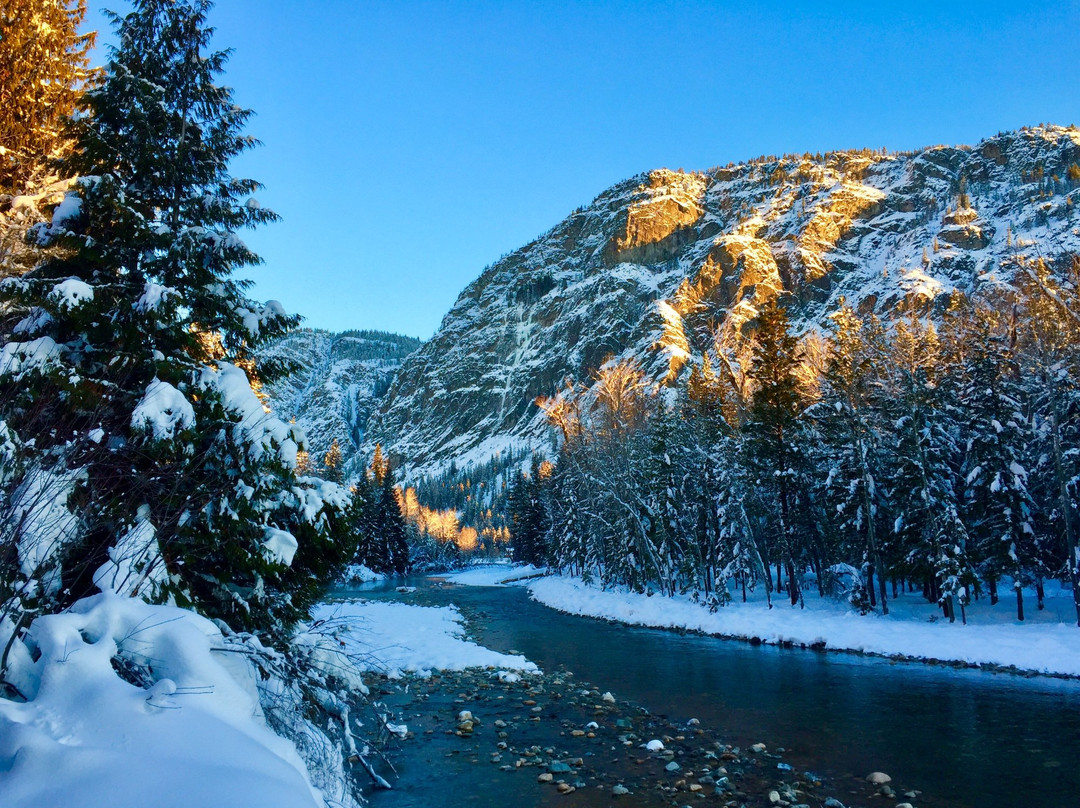 Freestone Inn & Cabins主图