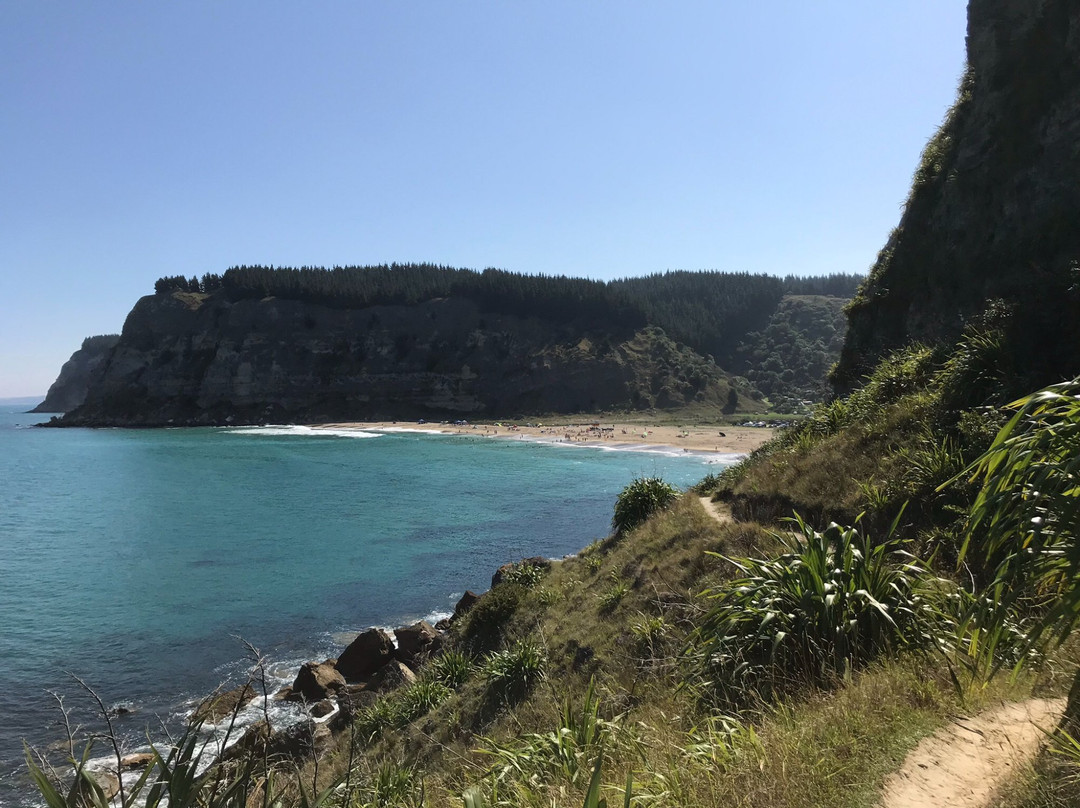 Waipatiki Beach景点图片