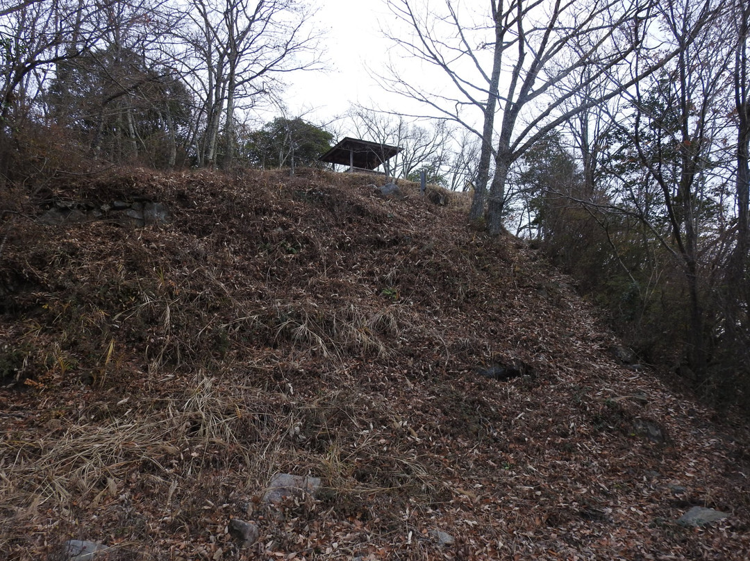 Mount Saeki Tenjin景点图片
