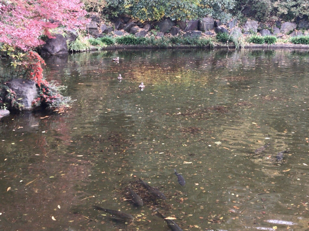 Sugekari Park-目黒区必去景点