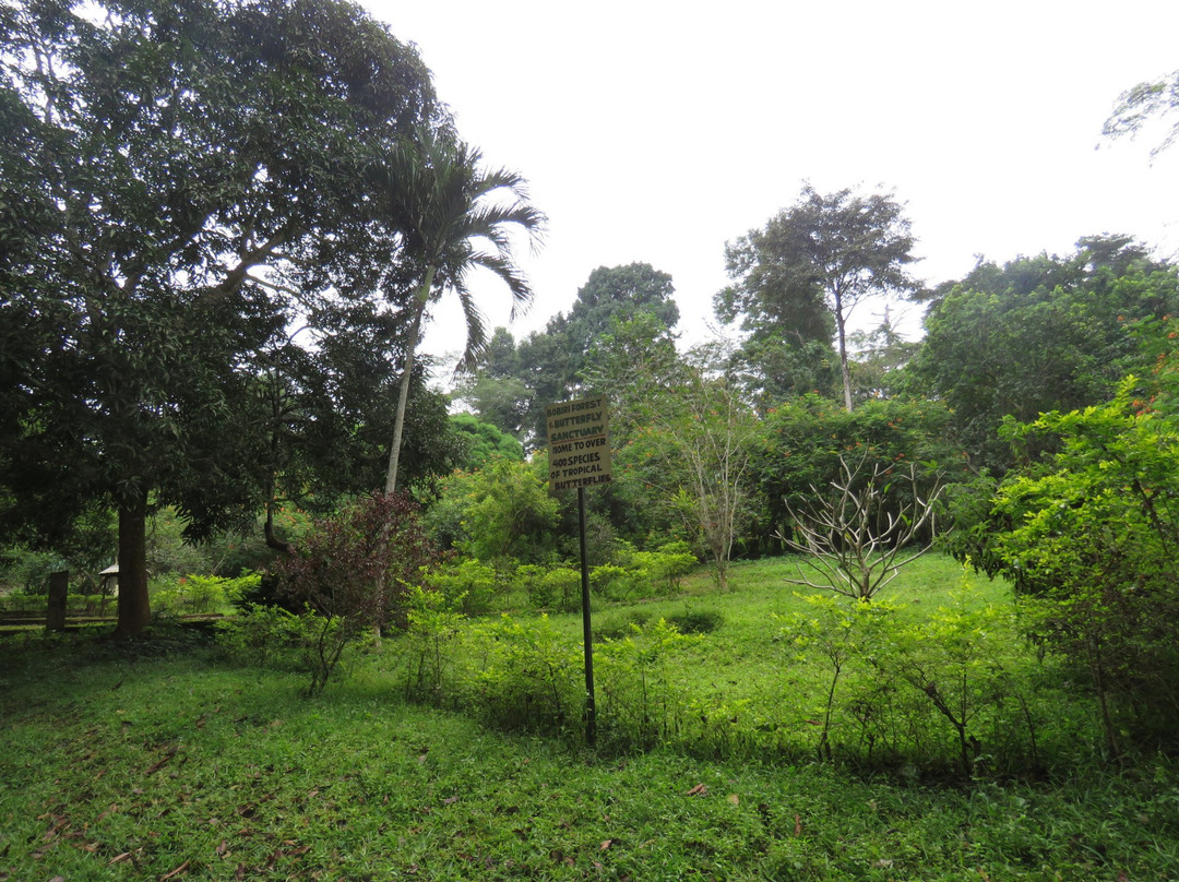 Pepease旅游景点-Bobiri Forest Reserve