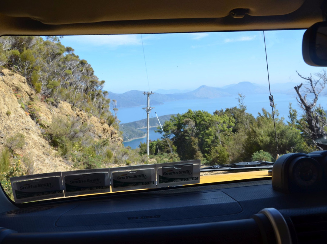 Molesworth High Country Tours-布伦海姆必去景点