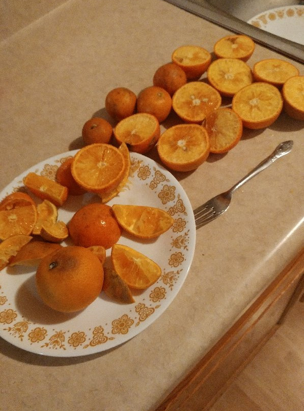 Jennings Citrus-Oxford必去景点