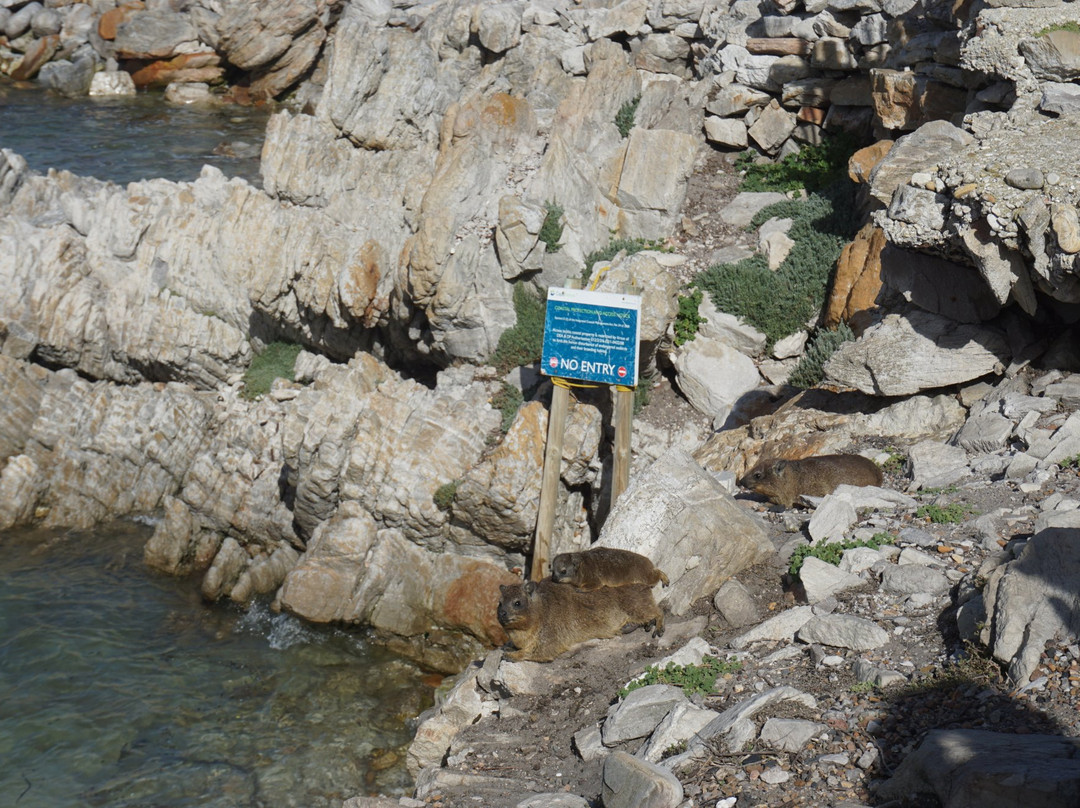 Personal Cape Town Tours Day Tours-Strandfontein必去景点