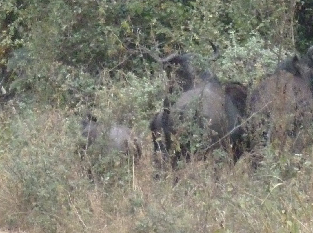 Vernon Crookes Nature Reserve-夸祖鲁-纳托尔省必去景点