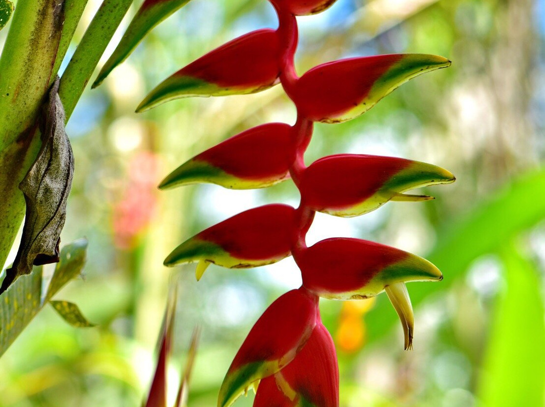 Waqanki Lodge-Moyobamba必去景点