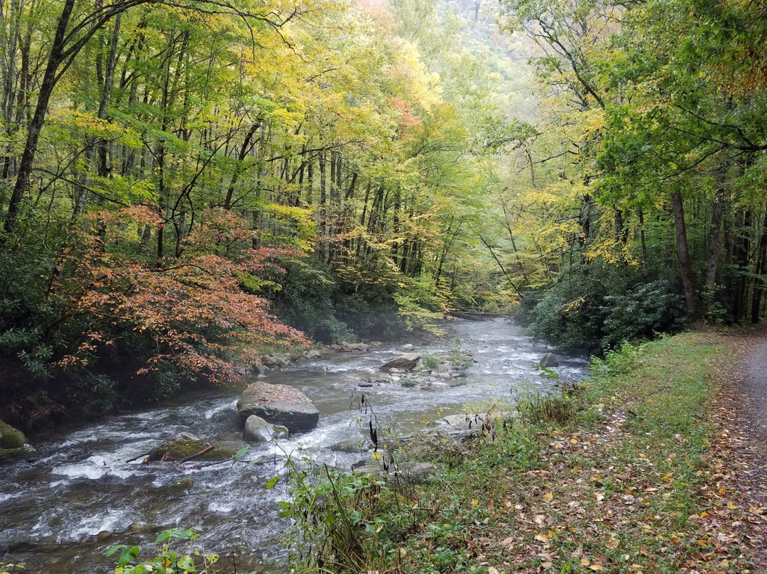 Balsam Mountain Road-大雾山国家公园必去景点
